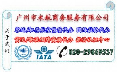 民航资质在线申办与专业代办服务 国际航协授权一级指定代理全方位指南